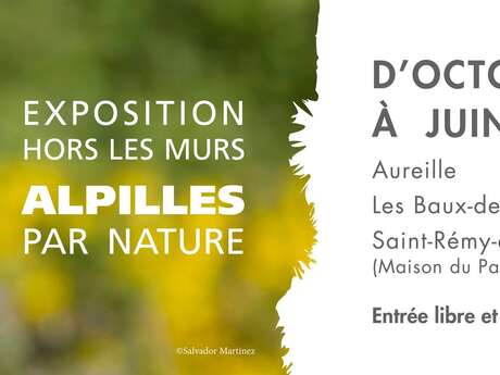 Exposition hors les murs : Les Alpilles par nature