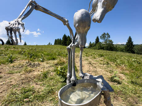 Sculpture de Guilia Cenci - Biennale Artocène