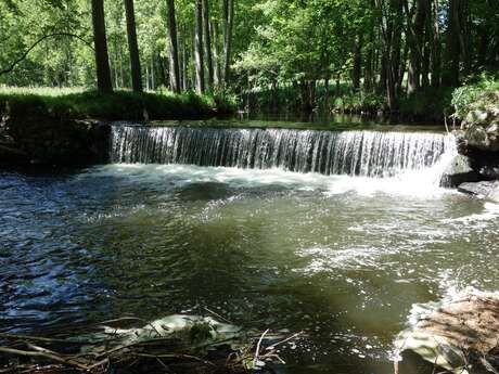 Pêche dans la rivière Déôme