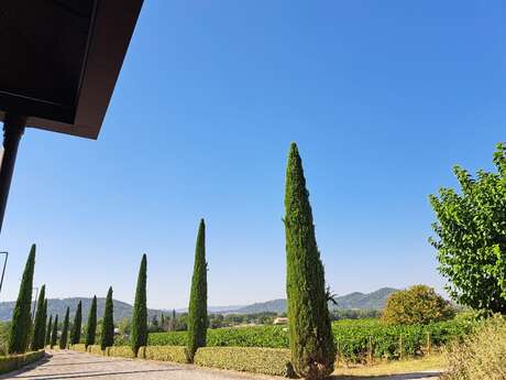 Château Saint Pierre