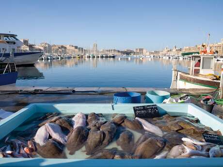 Cuisine marine durable : repenser notre assiette pour préserver la Méditerranée