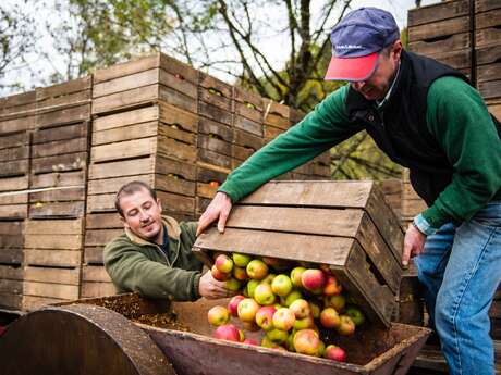 Fête du Cidre