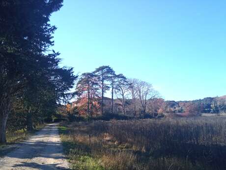 Domaine de Ribbe