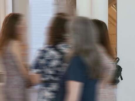 Art History Seminars at the Estrine Museum