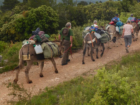 4 ou 6 jours dans les Monges accompagné