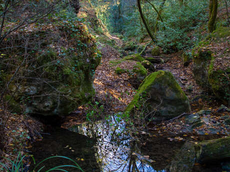 Promenade : Cascade de Gourbachin - Bagnols-en-forêt