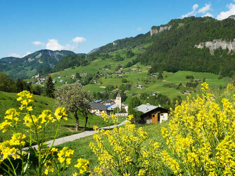 Boucle cyclo : Balcons de l'Arly