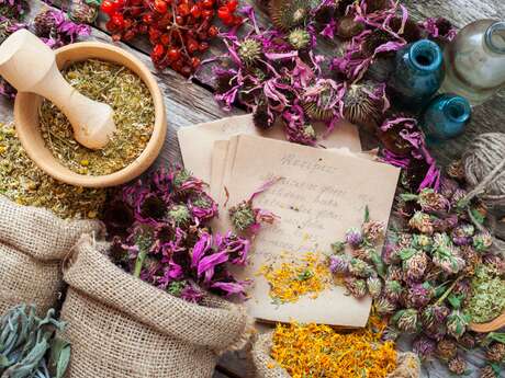 Causerie de l’herboriste