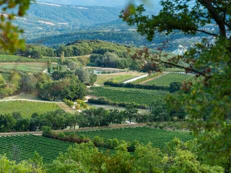 Domaine Les Davids