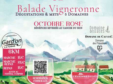 Vino Tempo - Marche dans les vignes