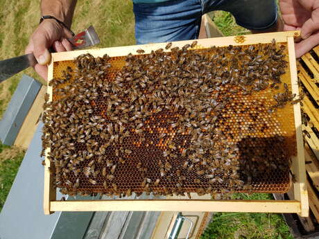 Miellerie La Grange aux abeilles