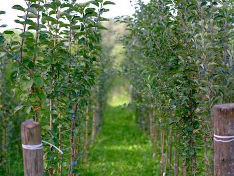 Ferme ouverte à la Pépinière Des Racines et des Fruits