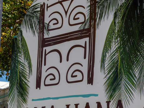 HanaHana