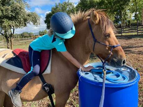 Atelier Baby à la Ferme Lucky horse