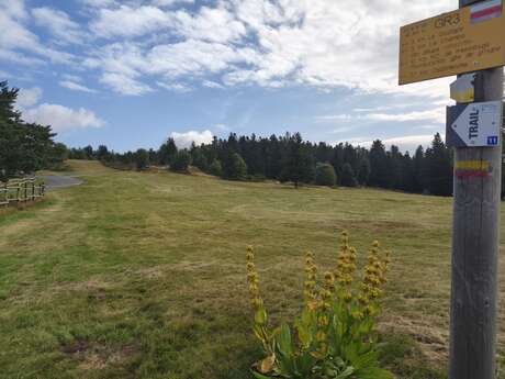 Aire de service et de stationnement camping-car "les Granges"