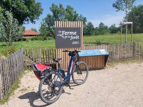 Circuit VTT-VTC n°17 (bleu) La Ferme de la Forêt – Haute chanée