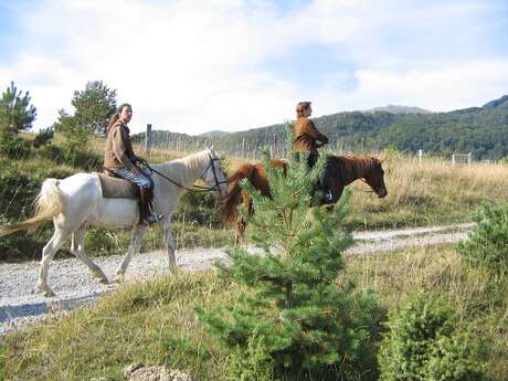 Ferme équestre Les longues Pistes Ferme équestre Les longues Pistes