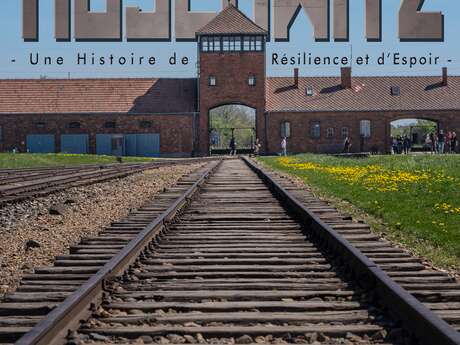 Cinéma : Auschwitz, une histoire de résilience et d’espoir