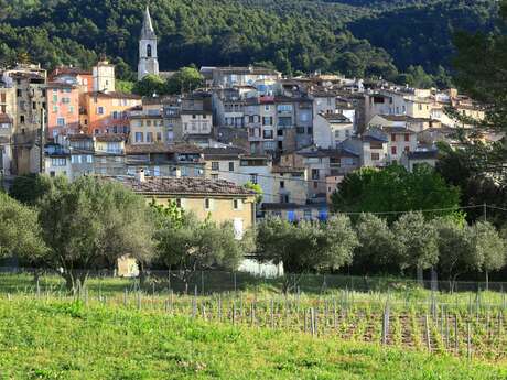 Marché Provençal