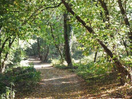 Secrets de Garonne : Le nouveau sentier découverte