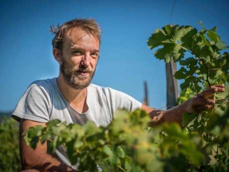 Ferme ouverte « Miels et vins » au GAEC Champ Chabert