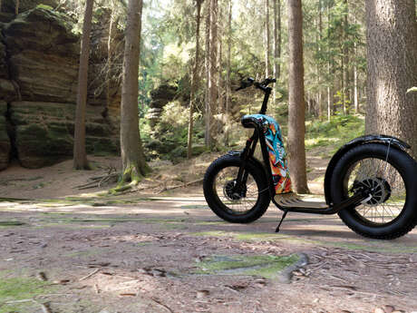 Location trottinettes électriques D’ TROTT