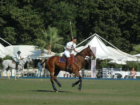 Tournoi de polo - Womens polo series
