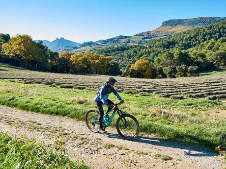 MALAUCENE - Le tour des Abbayes à VTT