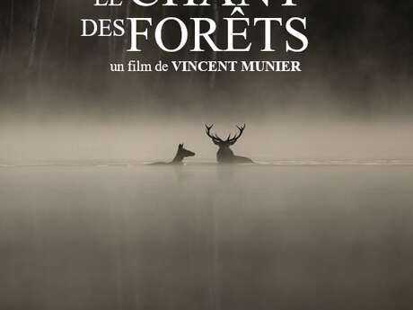 Cinevadrouille screening of "Le Chant des Forêts" film