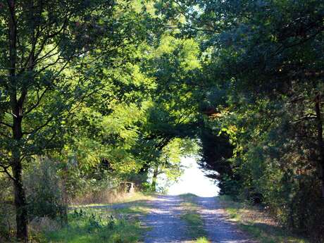 Sentier Les Rôtis