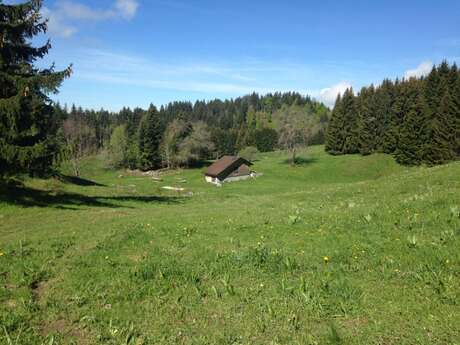 Parcours VTT Chaine d’Or depuis les Habères