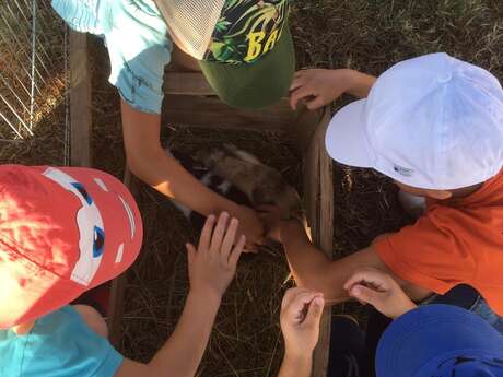 Ferme Pédagogique chez Naturama