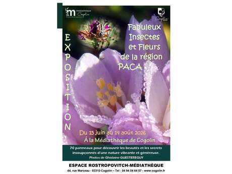 Exposition "Fabuleux insectes et fleurs de la région Paca"