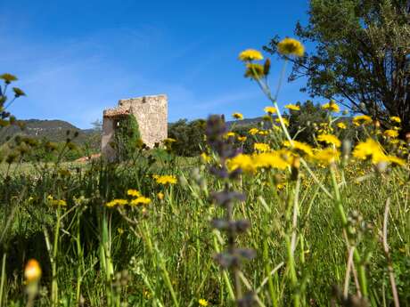 Domaine Les 2 sources | Karine et Michel Mouret