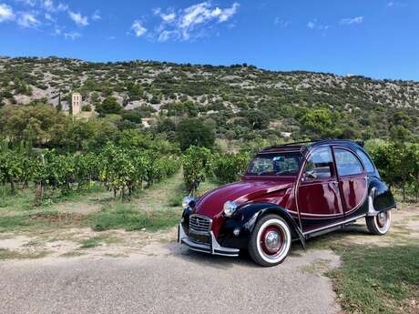 Halte Vintage Vaucluse