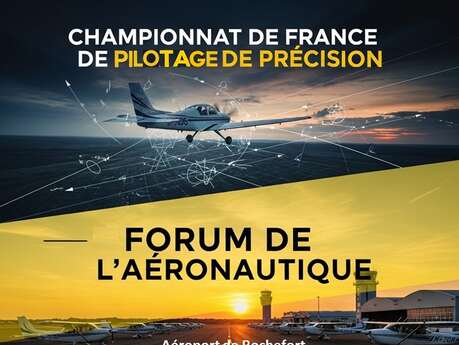 French Precision Flying Championship