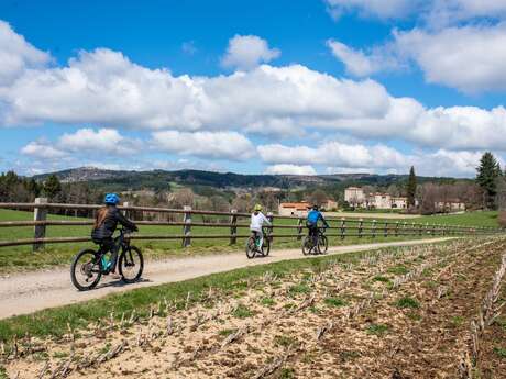 REVE BIKE - Moniteur VTT