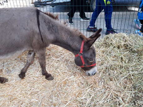 Foire agricole de la saint Michel