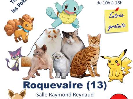 Salon du chat de race