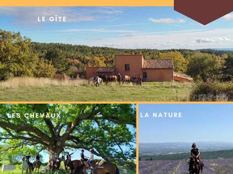 Séjours randonnées à cheval et yoga avec le Poney Rouge