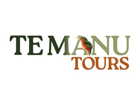 Te Manu Tours