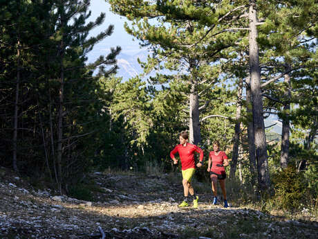 TV15 - Auf-/Absteigen