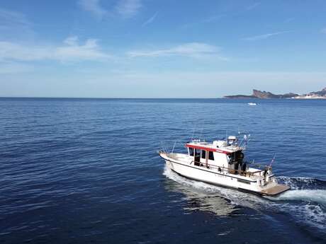 Spaziergang auf dem Meer mit Speedfishing