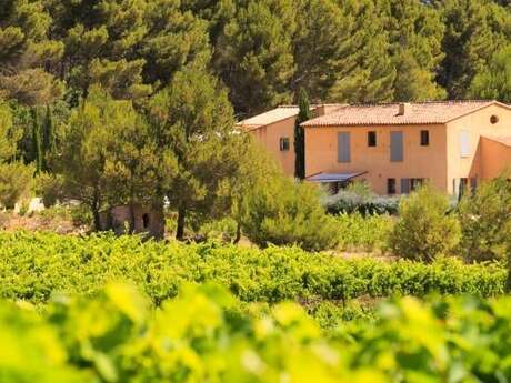 Villa Minna Vineyard