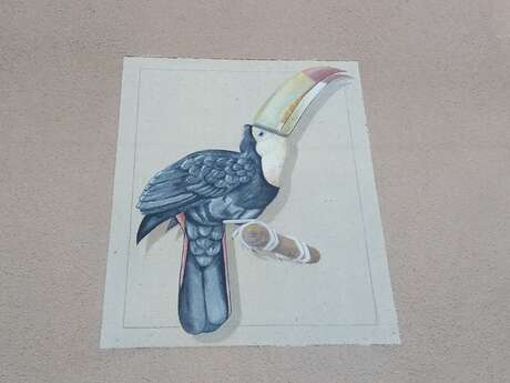 Fresque "le Toucan"