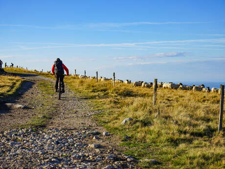 En VTT dans le Forez - Chalmazel