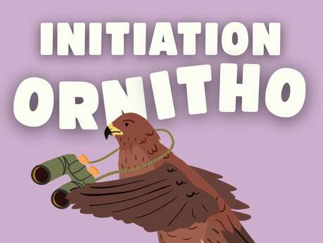 Initiation à l'ornithologie.