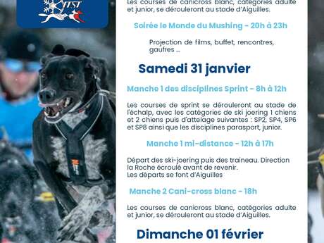Championnat de France d'attelage canin
