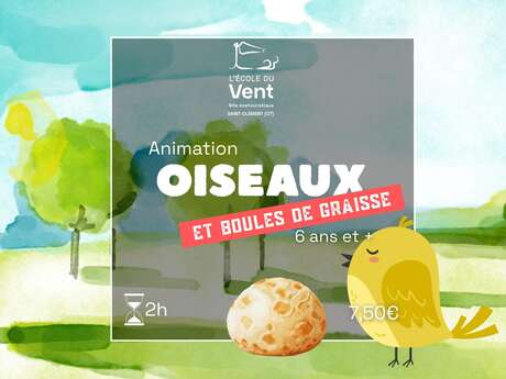 Oiseaux et boules de graisse