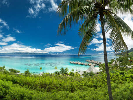 Défi d'elles Tahiti Moorea